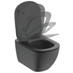 Ideal Standard Tesi - Wc Bril Ultradun, Softclose, Zwart T3527V3 -sanitino aeafd37f5b7ffbe067b6cb4c